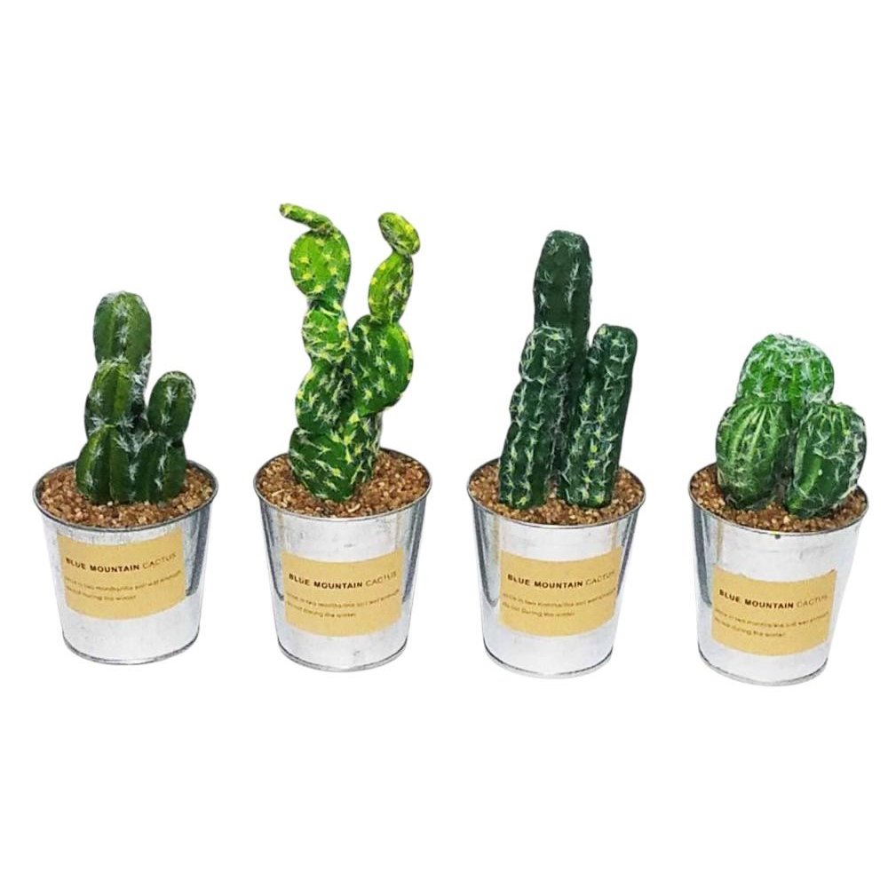 *MACETA METAL C/CACTUS