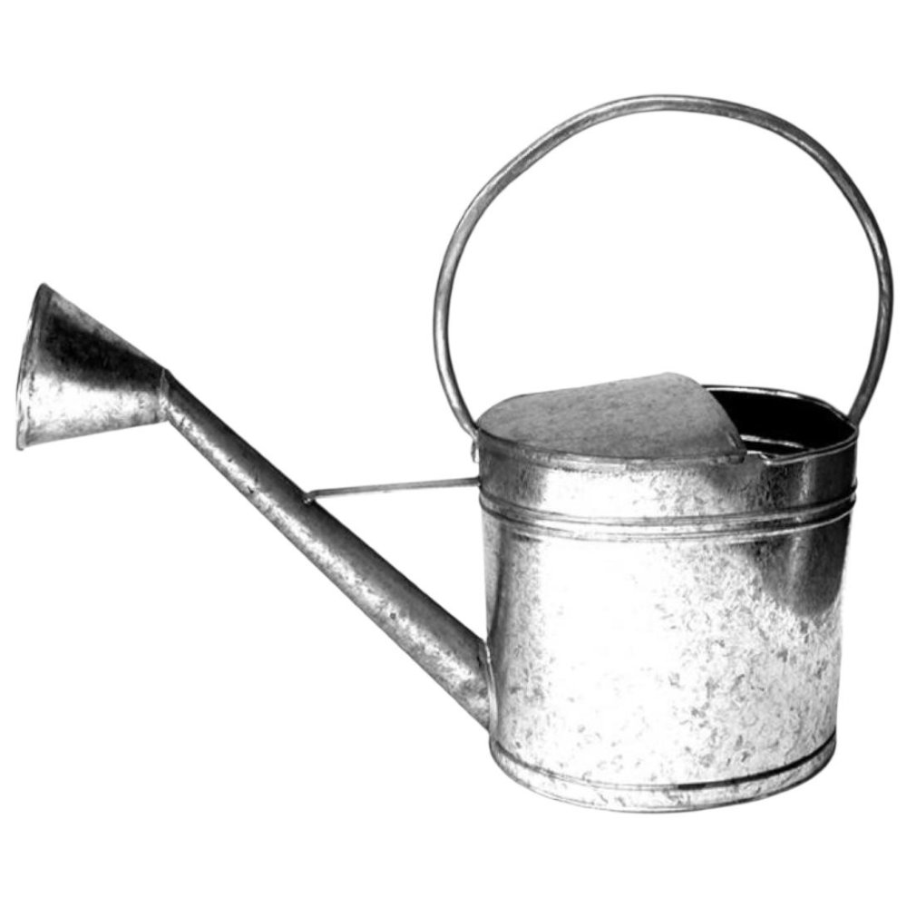 REGADERA SUPER NUEVA