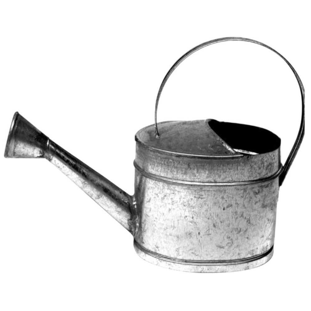 REGADERA PICO LARGO MINI